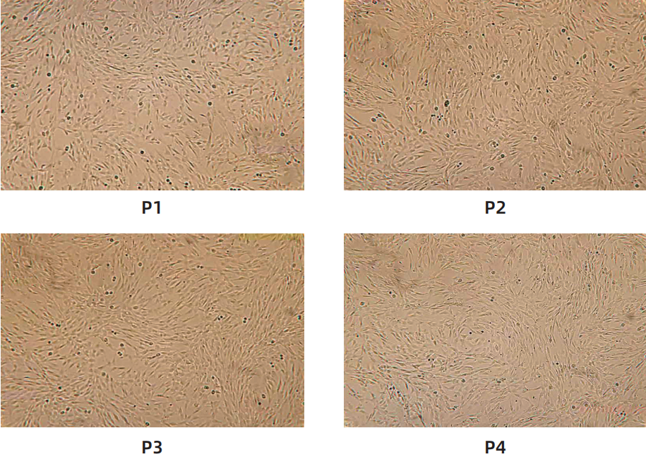 32bb208ea89cb8ca8803c99b2d0a4789