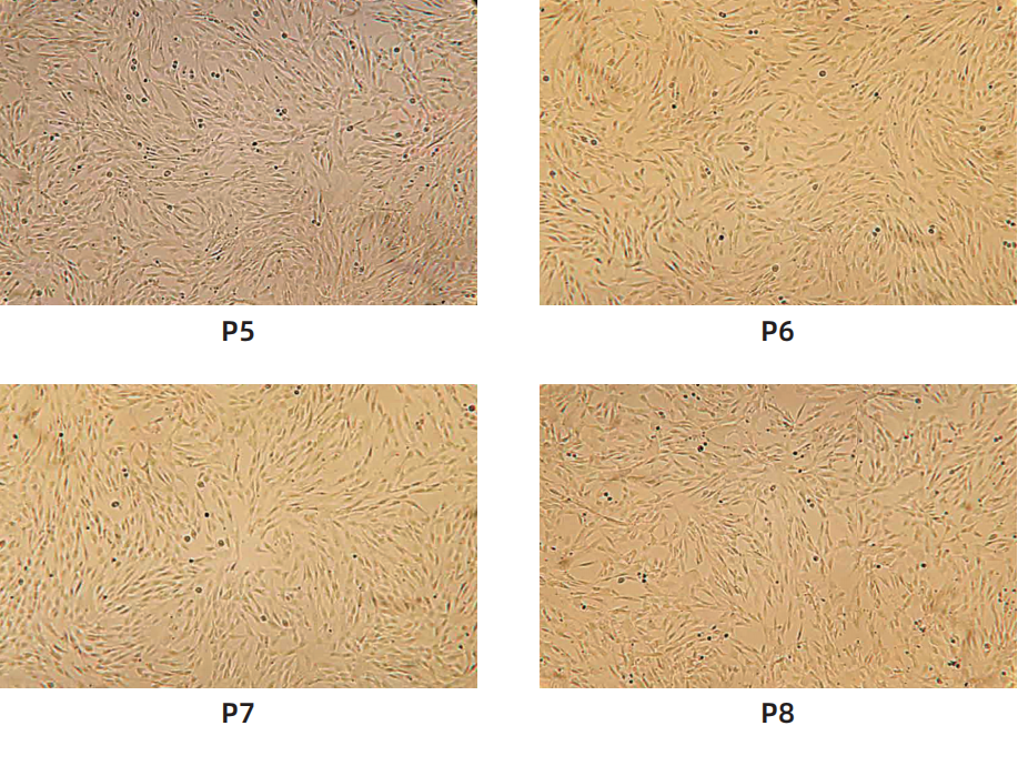 602c3430cad93e7935afbf3802dad013