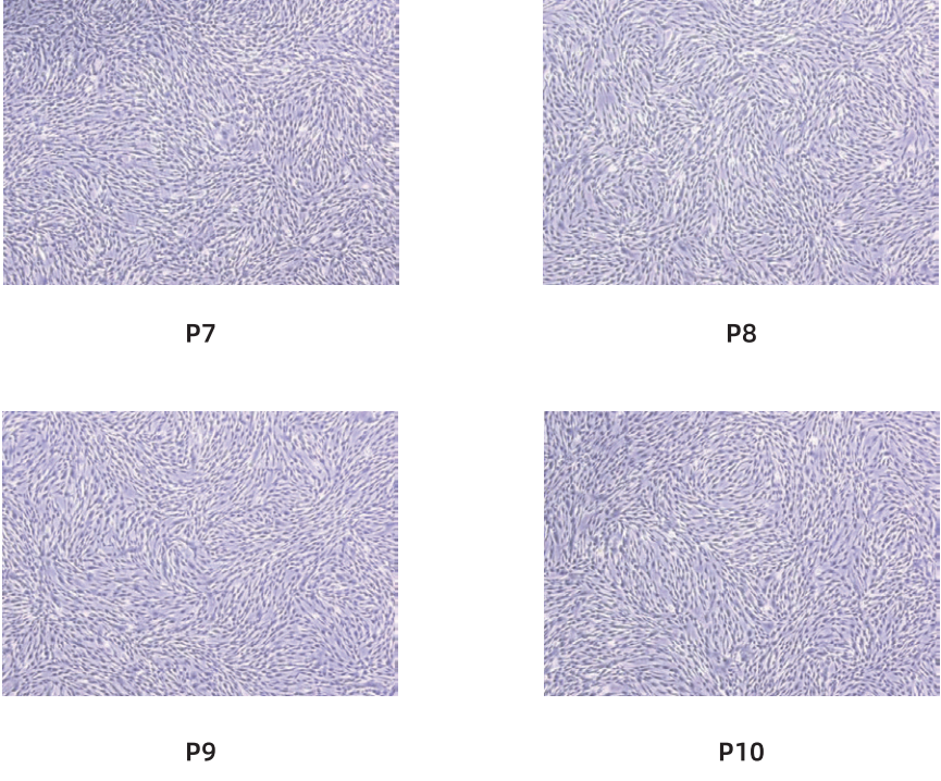 E9AE737F7B14E2205194E33B22FD0C6A