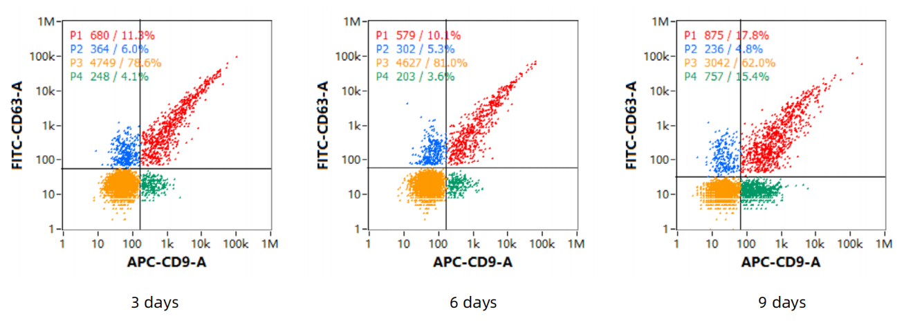 エキソソーム - マーカータンパク質