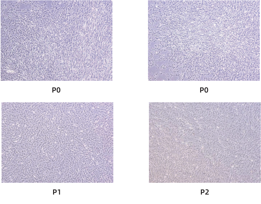 219FCBA7E32261F877EA64EF7DF722BF