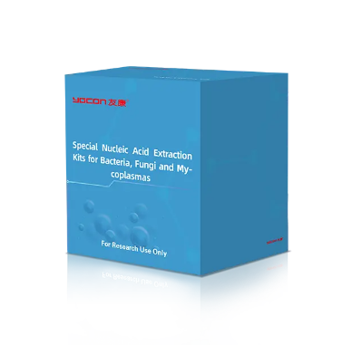 細菌を検出する最良の方法は何ですか?