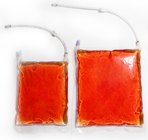 FEP細胞培養バッグ|良い細胞親和性|ヨコンセル