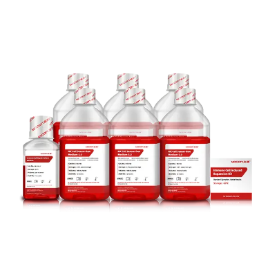 ストレプトペニシリンとは何か、そして現代医学におけるその役割