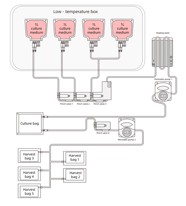 完全に囲まれたシングル - パイプラインシステム