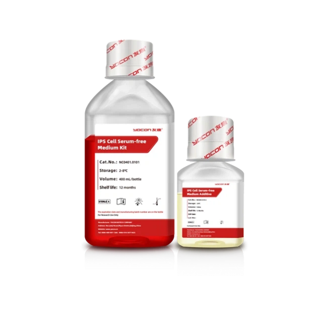 凍結保存後の細胞生存率を最大化するにはどうすればよいですか?