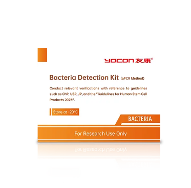 細胞療法とは何ですか?またどのように機能しますか?