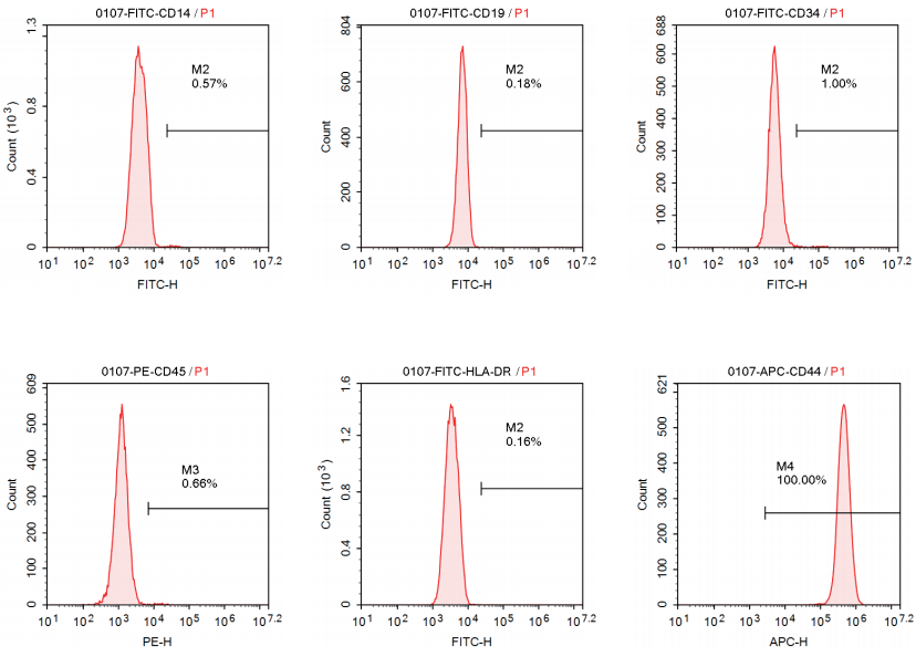 05EFA991CCB6513ECE9BE85411CA4232