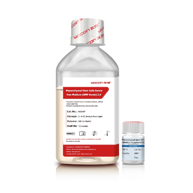 細胞培養の未来: 2025 年の無血清培地のトレンド